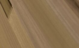 Pop Plank Crop